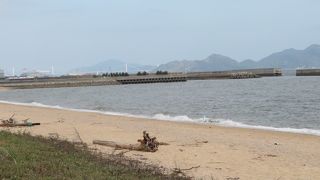 志島ヶ原海岸