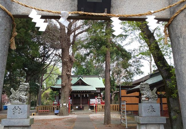 500年近く前に創建された古い神社