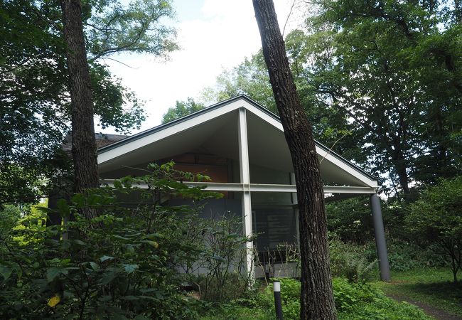 文学よりも建築に惹かれる