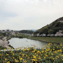 池のそば