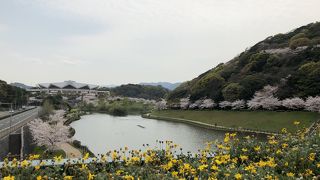 中央公園 (金比羅山)