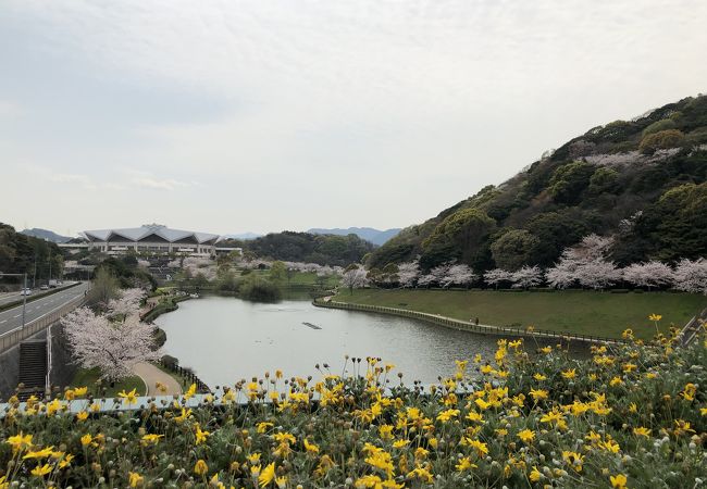 中央公園 (金比羅山)