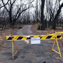森林火災の影響で閉鎖になった遊歩道も。今後の情報は要チェック