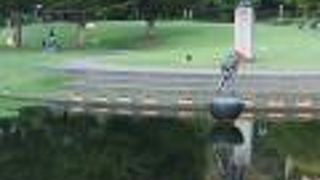 夕暮れ時が綺麗でした