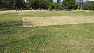 お花が美しい開放的な広ーい広場なのよ