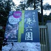 兼六園無料開園観桜ライトアップ