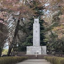 木もれびの森 (相模原中央緑地)