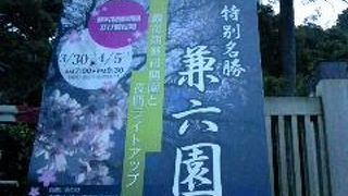 兼六園無料開園観桜ライトアップ