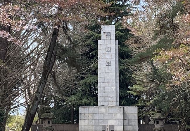 木もれびの森 (相模原中央緑地)