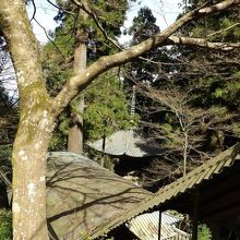 見下ろす大雄山最乗寺の多宝塔。