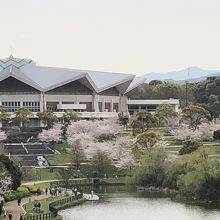 北九州市立総合体育館