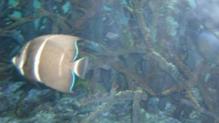 子供連れにはありがたい存在。