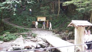 忍者修行の里　赤目四十八滝