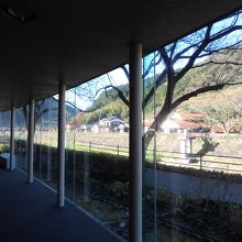 ソファに座りながら、鴎外も毎日見たであろう津和野川を。