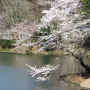 三ッ池公園にいくには、バスをご利用ください