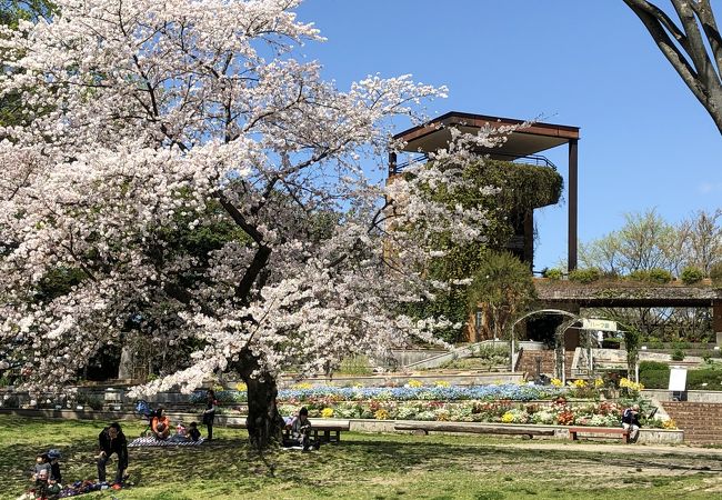 高台でながめがよいです