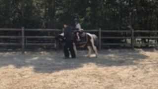 のびのび遊べる