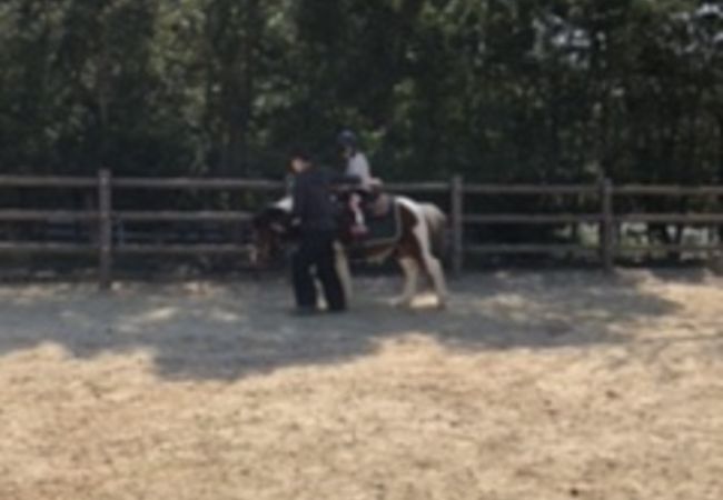 のびのび遊べる