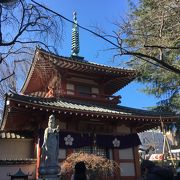 新井山 梅照院 薬王寺