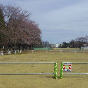 子供の為の粟津公園