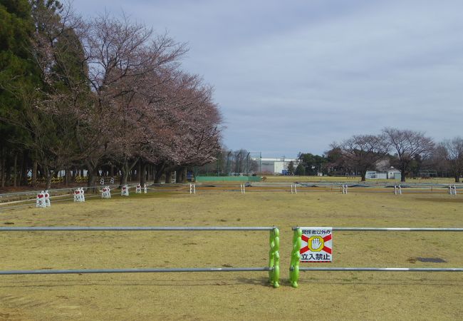 子供の為の粟津公園