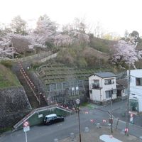 客室からの眺望