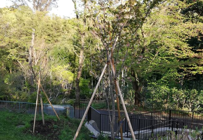 横浜市児童遊園地 クチコミ アクセス 営業時間 東神奈川 保土ヶ谷 弘明寺 フォートラベル 横浜市児童遊園地 クチコミ アクセス 営業時間 東神奈川 保土ヶ谷 弘明寺 フォートラベル