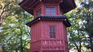 世にも不思議な公園