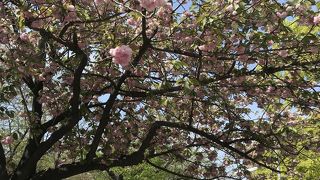 川崎フロンターレ本拠地もある多摩川土手すぐ等々力緑地