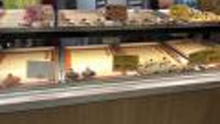 さくっとチーズタルトを買って帰る