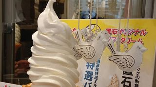 かわいい鳩がいっぱい