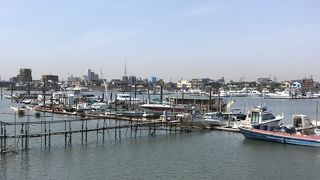 江戸川の分岐川