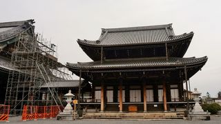 見応えがあります