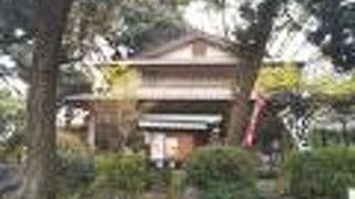 桜のお花見にて