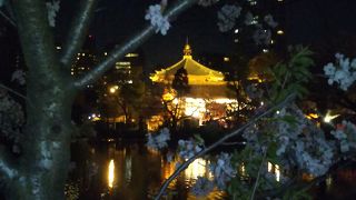 夜は 闇に浮かび上がり幻想的に