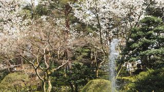 それほど大きくない