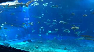 沖縄一の観光名所