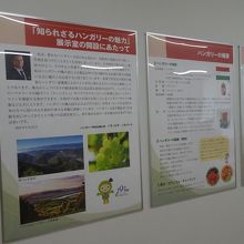 ハンガリー展が開催されていました