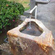 天然温泉の飲泉