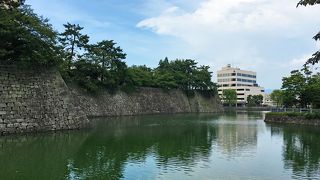 福井のシンボルの一つ。