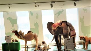 高級な縫いぐるみの展示場