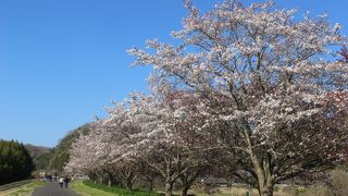 辰ノ口親水公園