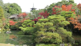 仁和寺と石庭龍安寺はセットです