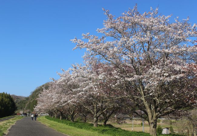 常陸大宮のおすすめ観光スポット クチコミ人気ランキングtop フォートラベル 茨城県