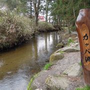 本当に河童の気配を感じる