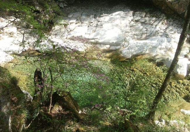 きれいなエメラルドグリーン