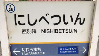 市内の移動にも便利。