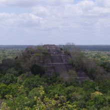 メキシコ東部カンペチェからアクセスする森の中のカラクムル遺跡