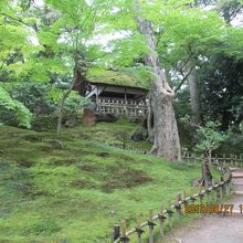 山崎山山頂付近