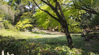 子供も多くいる